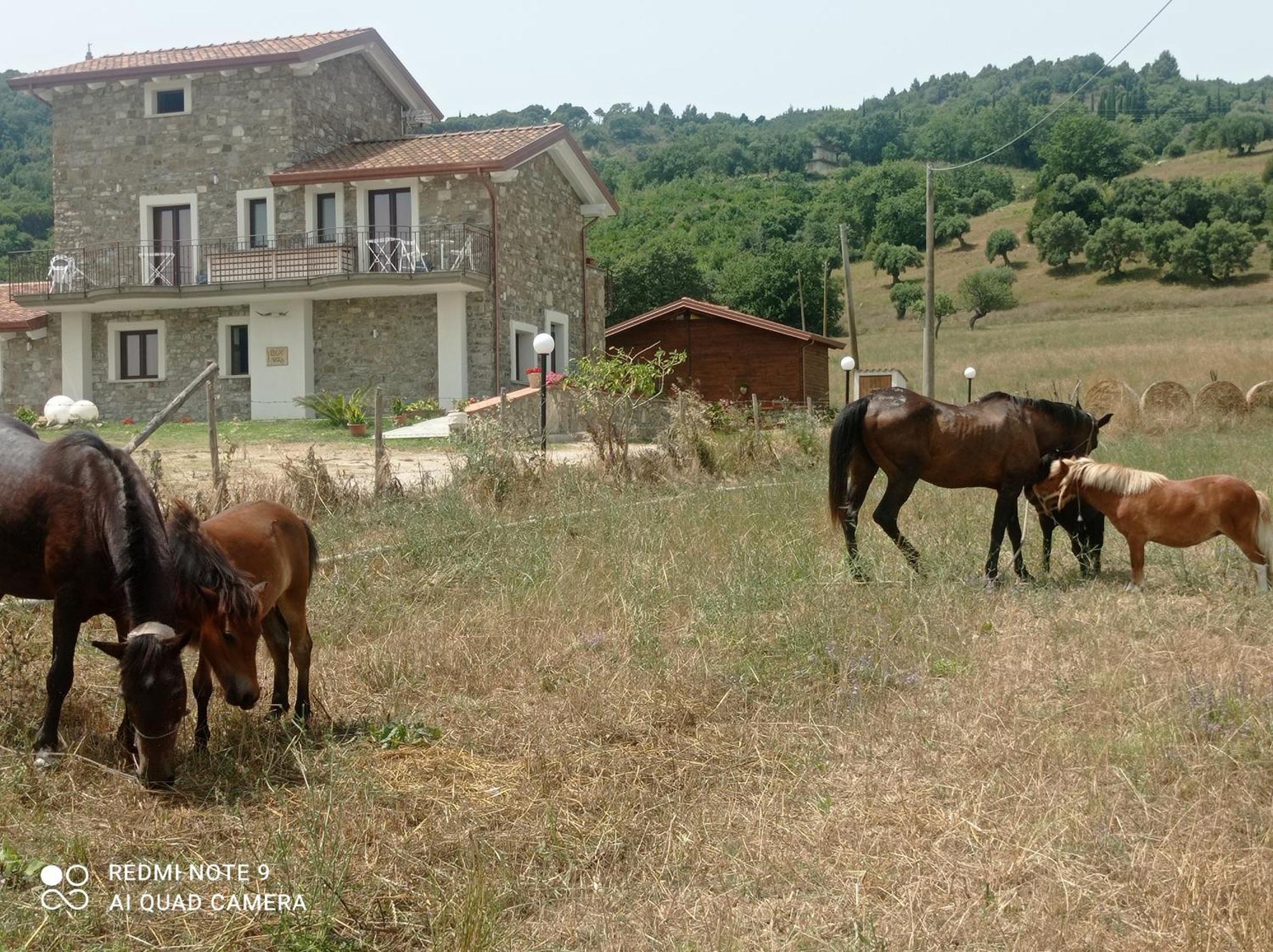 Lux Vera B & B Agropoli Luaran gambar