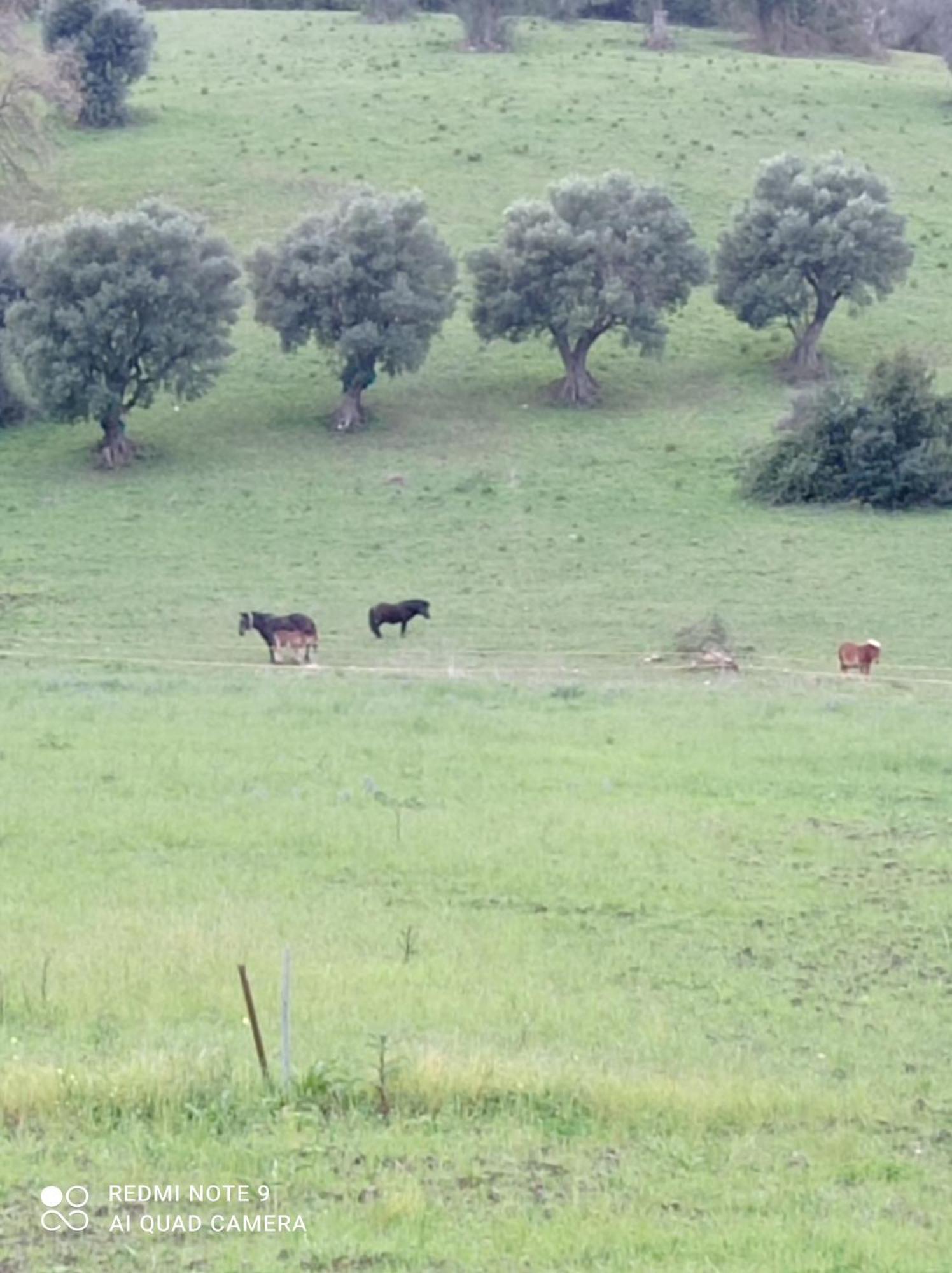 Lux Vera B & B Agropoli Luaran gambar